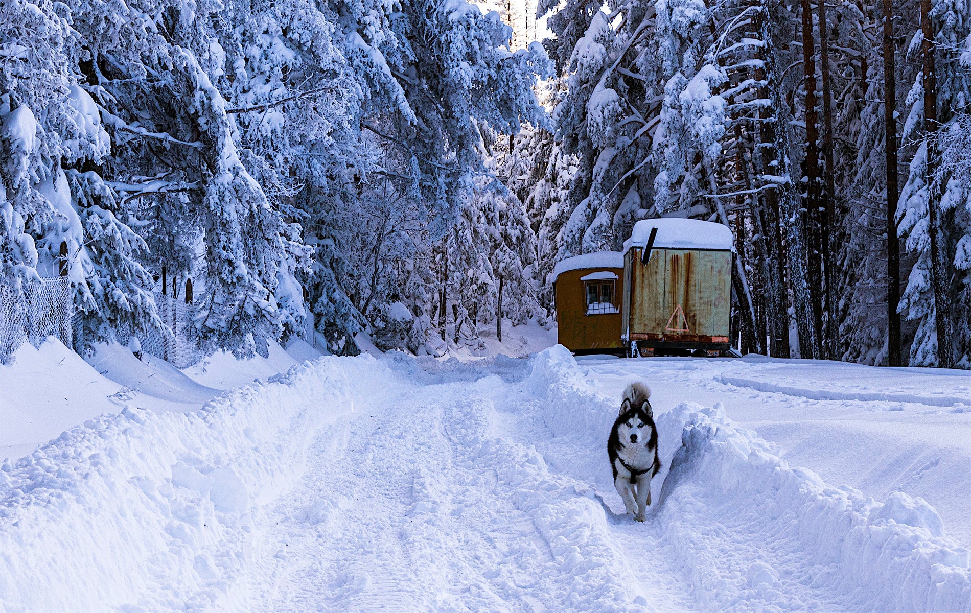 Keep Your Tankless Water Heater From Freezing