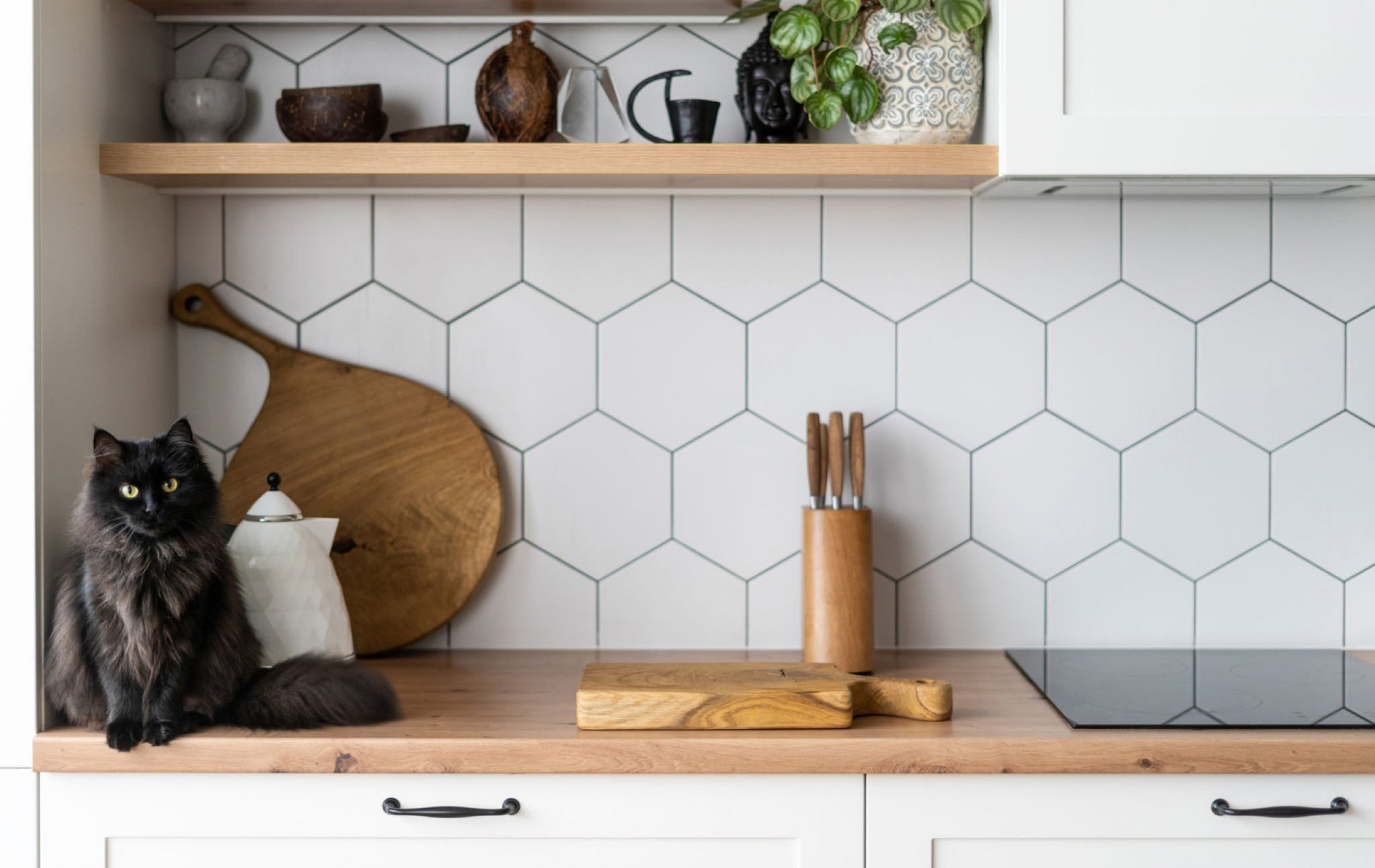Ceramic Cooktops Buying Guide | Thermomate
