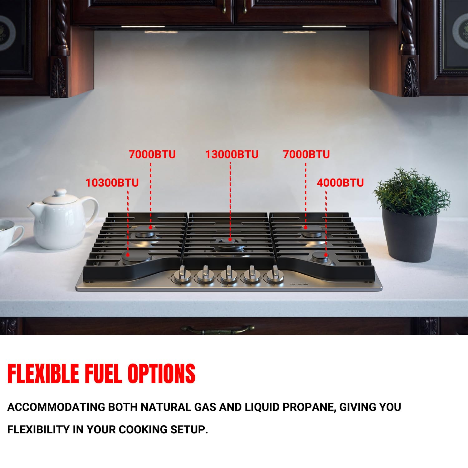 ACCOMMODATING BOTH NATURAL GAS AND LIQUID PROPANE, GIVING YOUFLEXIBILITY IN YOUR COOKING SETUP.