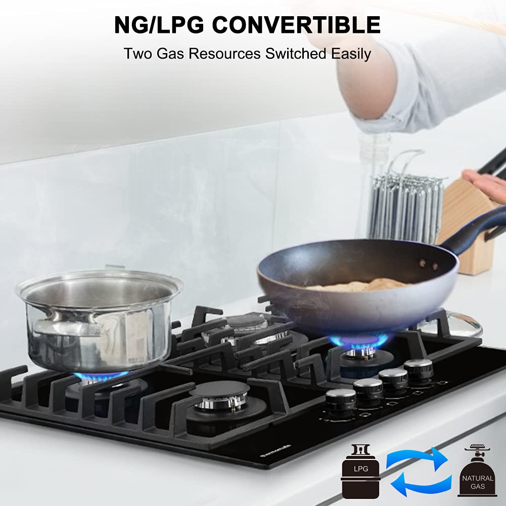 NG/LPG CONVERTIBLE | Thermomate