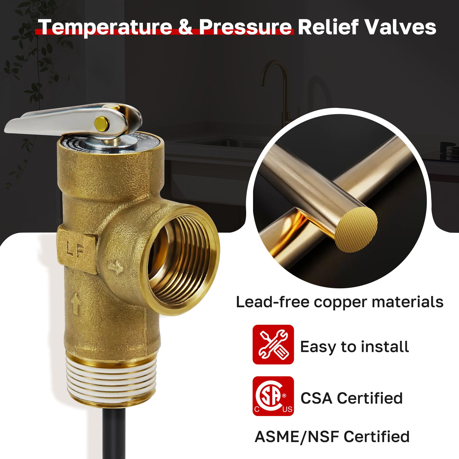 Temperature-Pressure-Relief-Valves